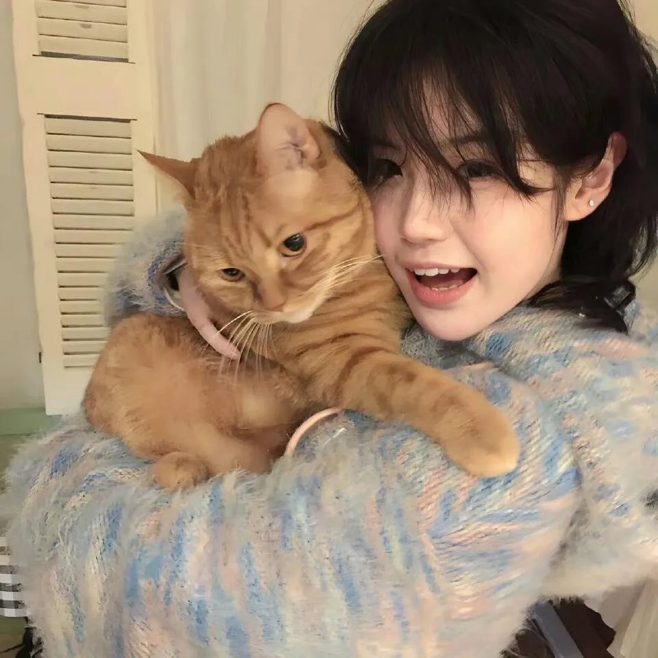 双杀 在线观看