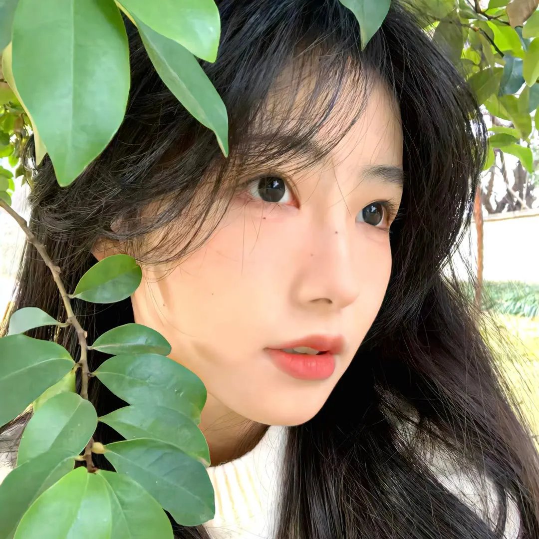 生活的城市 在线观看